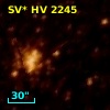 SV* HV  2245