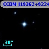 CCDM J18362+8224B