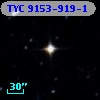 TYC 9153-919-1
