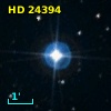 HD  24394