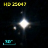 HD  25047