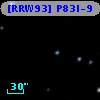 [RRW93] P83l-9