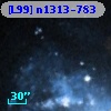 [L99] n1313-783