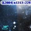 [L2004] n1313-228