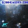 [L2004] n1313-234