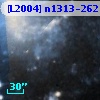 [L2004] n1313-262