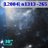 [L2004] n1313-265