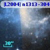 [L2004] n1313-304