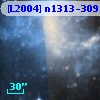 [L2004] n1313-309