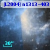 [L2004] n1313-403