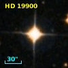 HD  19900