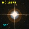 HD  18675