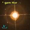 * gam Hor