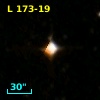 L  173-19