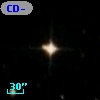 CD-53   352