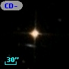 CD-55   437