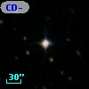 CD-53   332