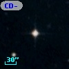 CD-53   335