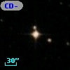CD-53   338