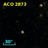 ACO  2873
