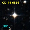 CD-44  6856