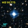 HD  91775