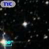 TYC 8206-95-1
