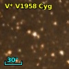 V* V1958 Cyg