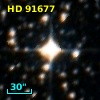 HD  91677
