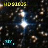 HD  91835