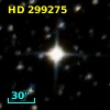 HD 299275