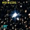 HD  91101