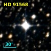 HD  91568