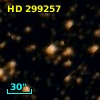 HD 299257