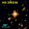 HD 299236