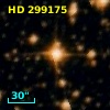 HD 299175