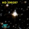 HD 299287