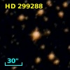 HD 299288