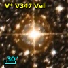V* V347 Vel