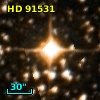 HD  91531