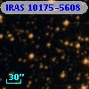 IRAS 10175-5608