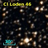 Cl Loden   46