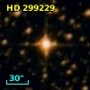 HD 299229