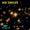 HD 299101