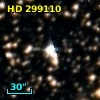 HD 299110