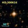 HD 300616