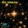 HD 300636