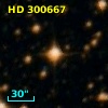 HD 300667