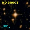 HD 299073