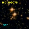 HD 299075